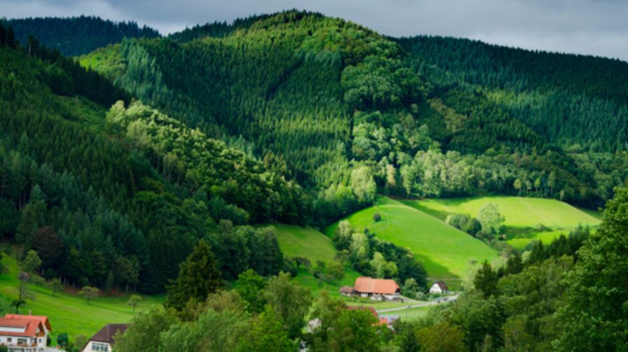 Black Forest - Best Place to Visit in Germany